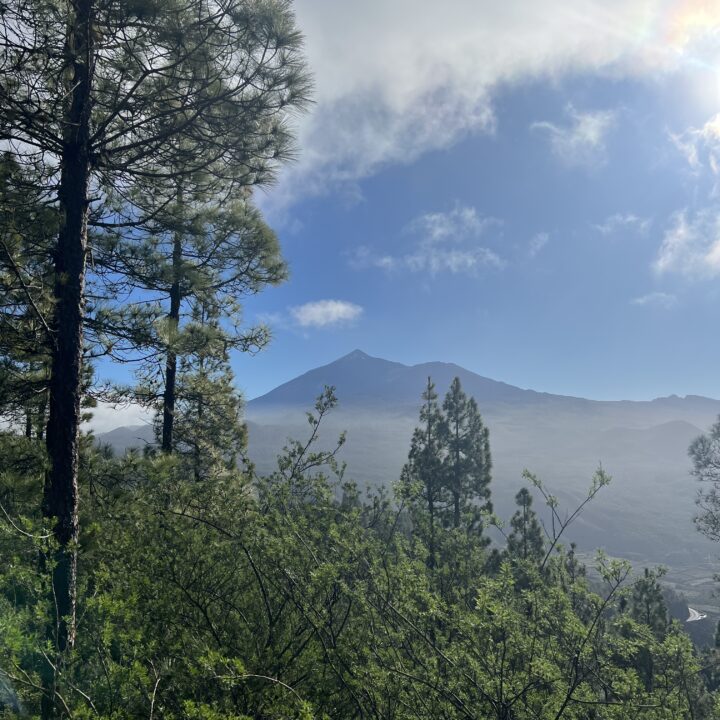 IMG_4685 2Parque Rural de Teno