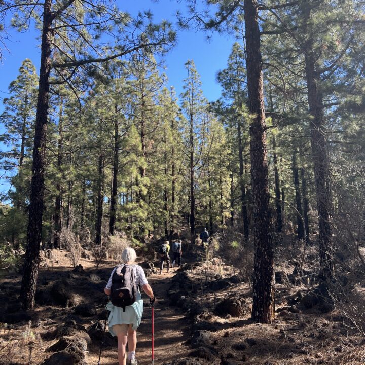 IMG_4724 2Senderismo Hiking El Chinyero