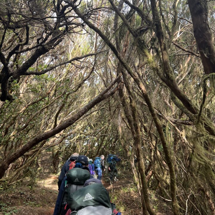 IMG_4761 2Senderismo HikingParque Rural de Anaga