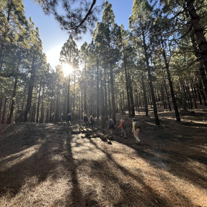 IMG_4844 2Senderismo Hiking El Chinyero