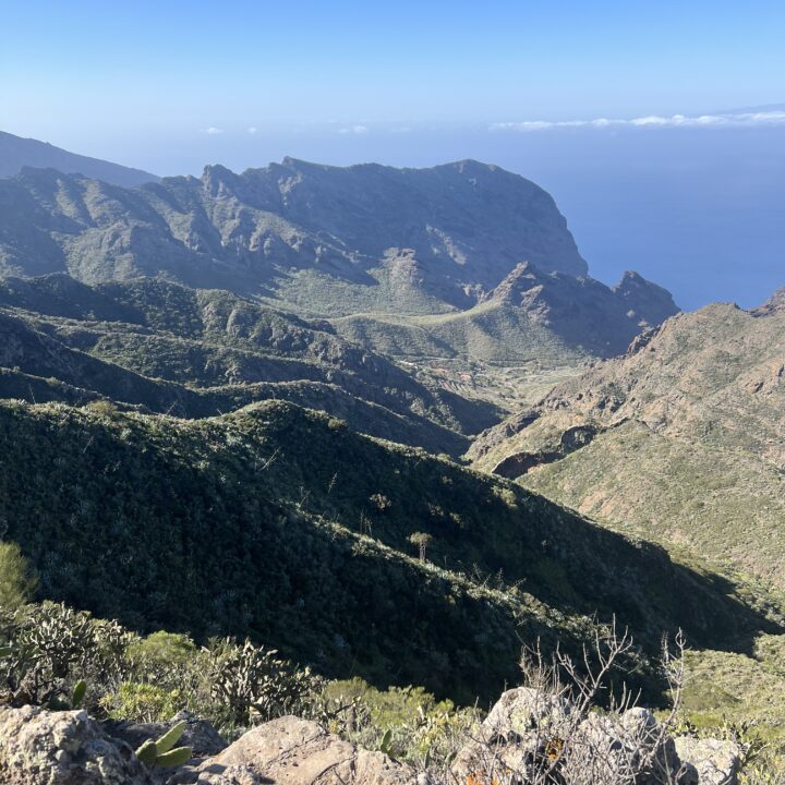 IMG_4923 2Parque Rural de Teno