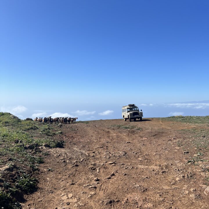 IMG_4924 2Parque Rural de Teno