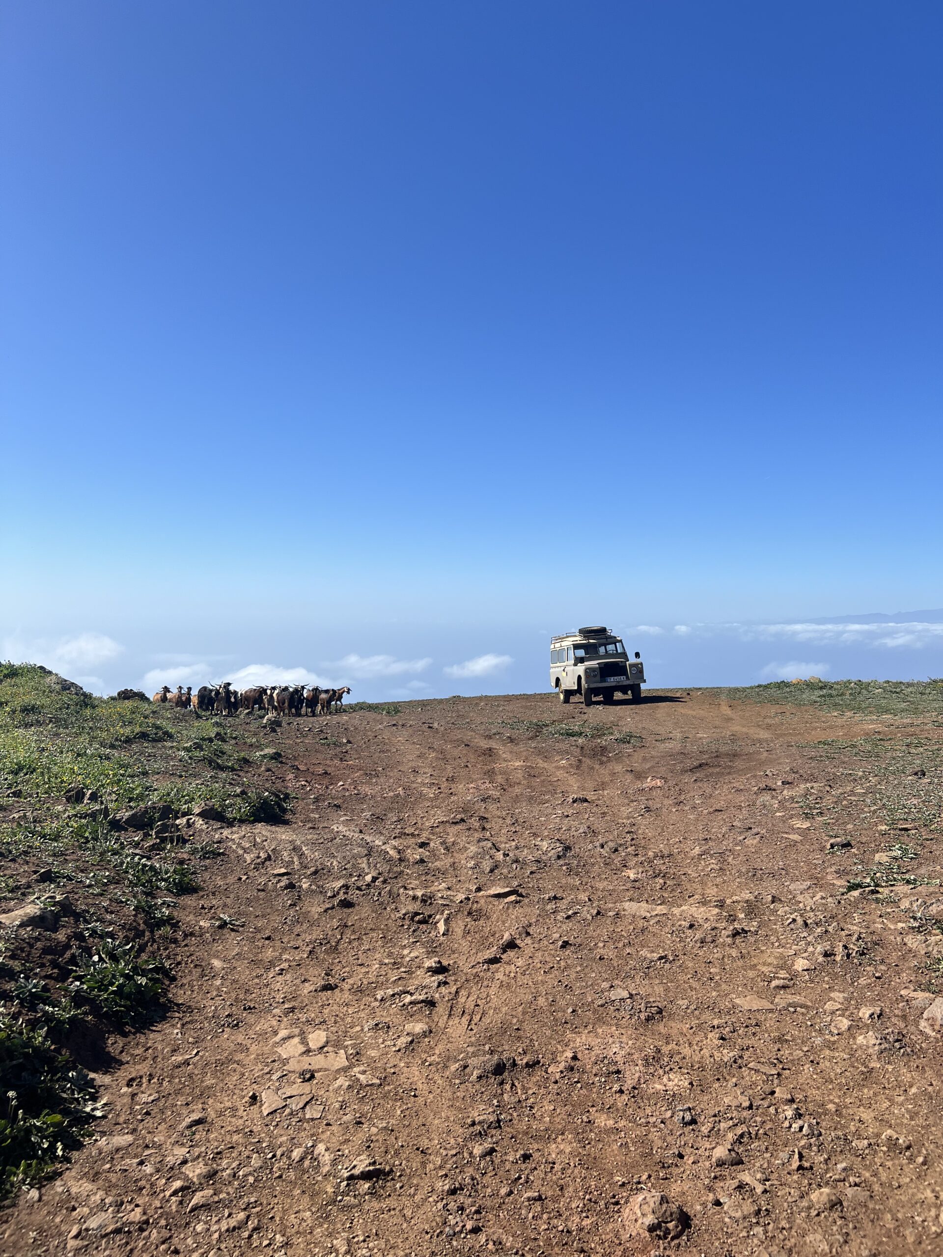 Teno Alto - Punta Alto