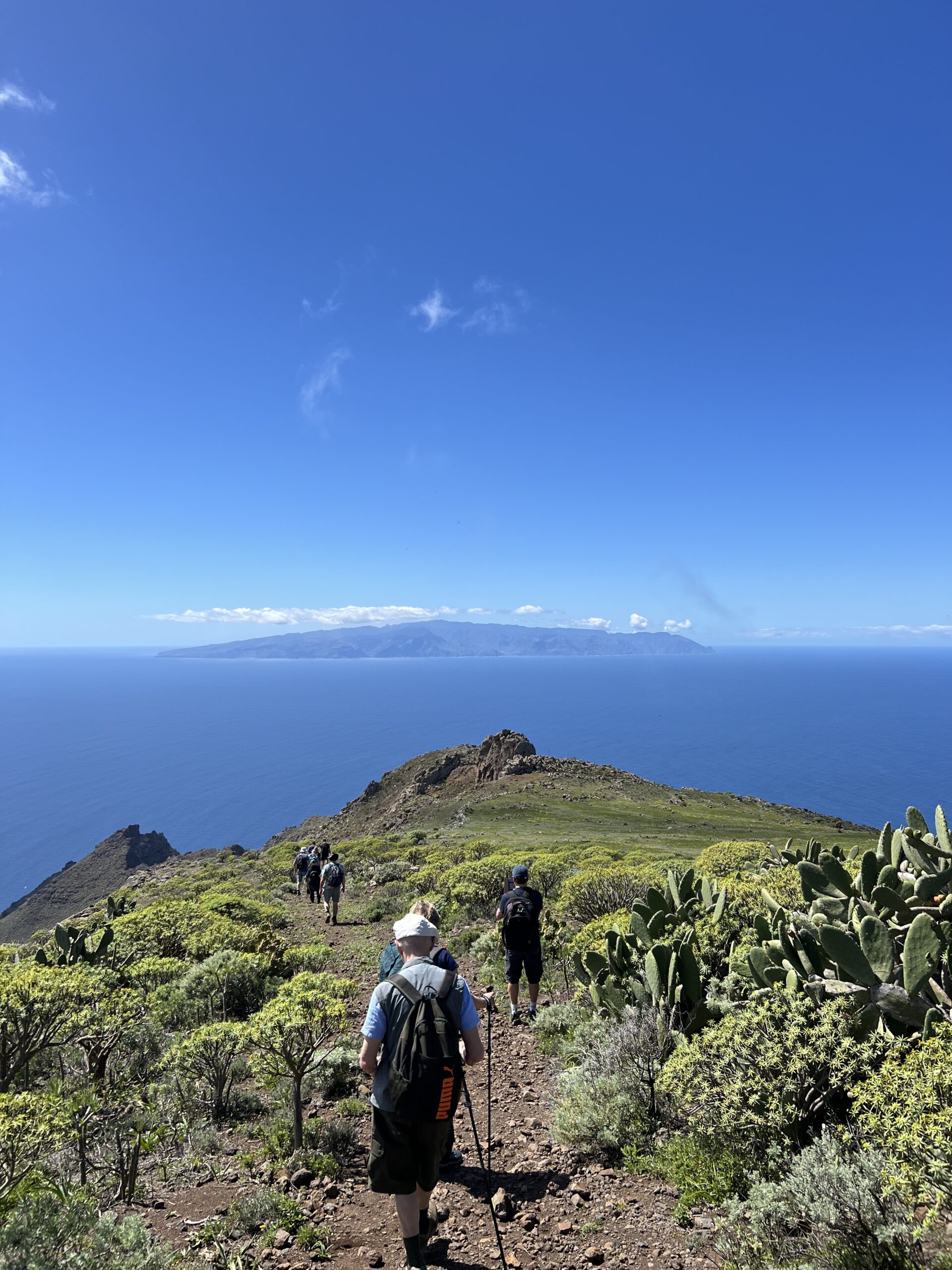 Teno Alto - Punta Alto