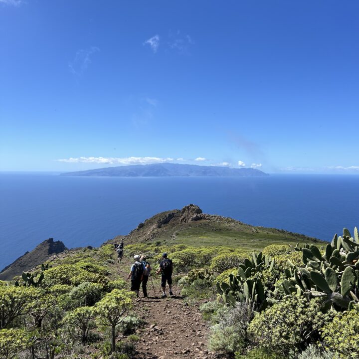 IMG_5013 2Parque Rural de Teno