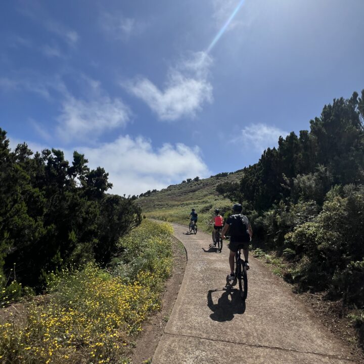 IMG_5504 2Parque Rural de Teno E-Bike